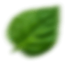 himali shape